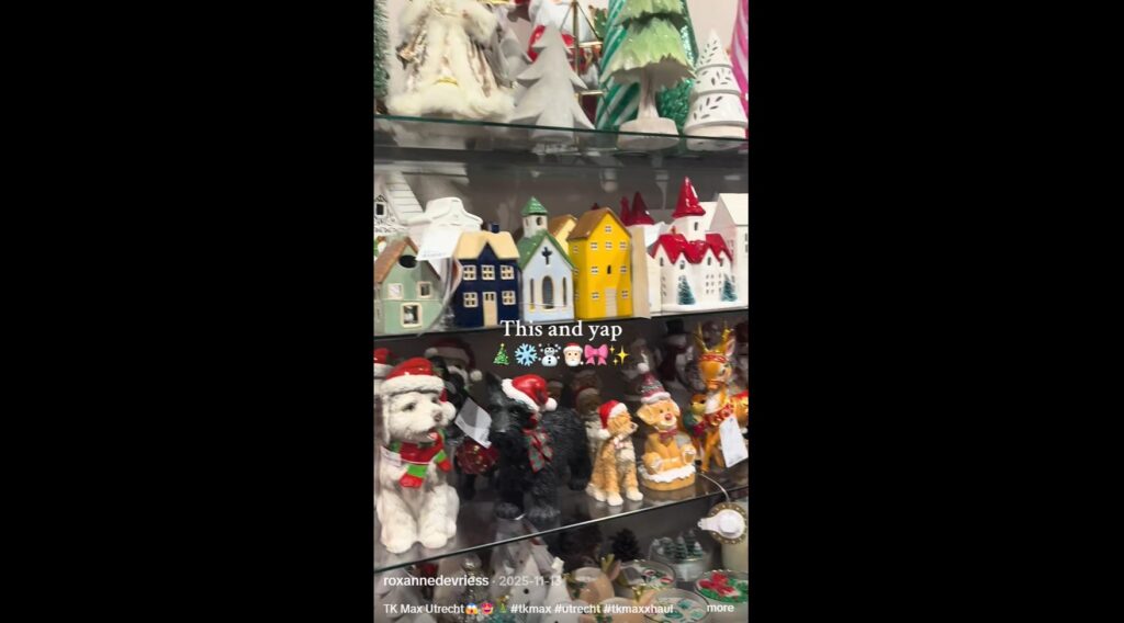 Tk Maxx Utrecht Tiktok